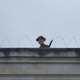 Image for article titled Doctor Who Set Pics Reveal A Historical Figure And An Old Enemy?